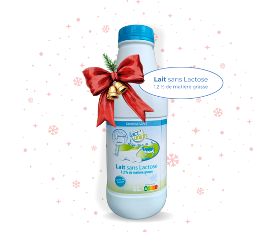 Lait Sans Lactose Stérilisé UHT (Vendu par pack)